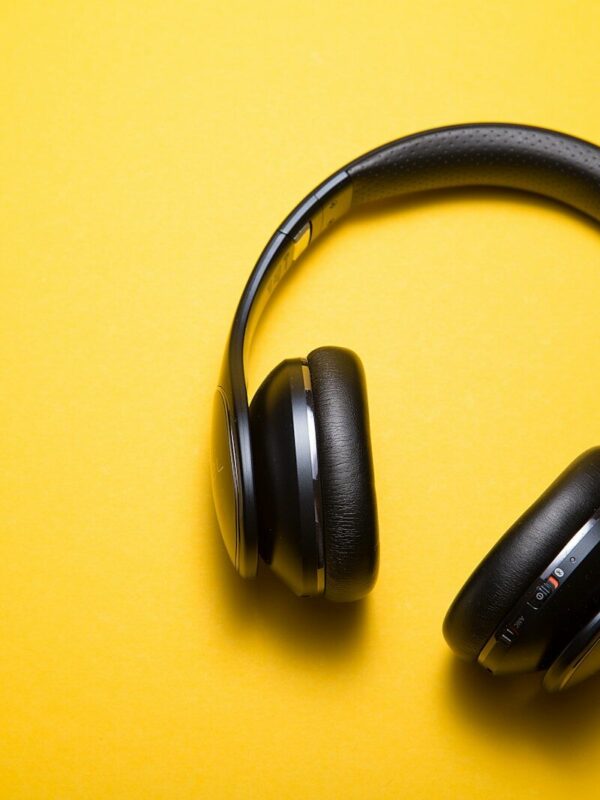 flatlay photography of wireless headphones